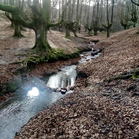 En El Parque Natural Del Gorbea, 2,3,4,5 Pax Apartamento
